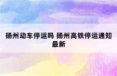 扬州动车停运吗 扬州高铁停运通知最新